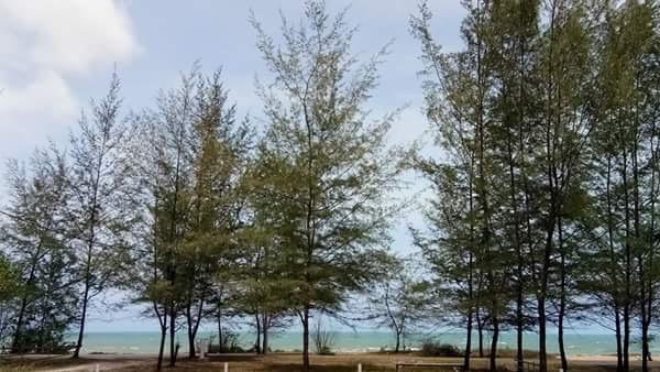 Paka Tamim Seaview Hotel Exterior photo